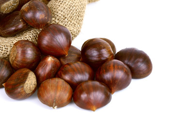 Castanea sativa or sweet chestnut in sack bag on white background.