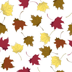 Pattern seamless with a liaf on a white background.