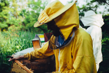 Close of apiarist on work with his bees