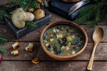 Mushroom soup in ceramic bowl with a copper pan and mushroom in background, dark photo.