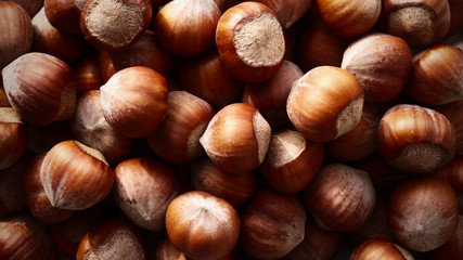 Dry brown hazel nuts background pattern. Texture.