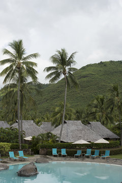 Tropical bungalows
