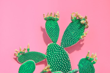 Tropical Neon Green Cactus on Pink background. Minimal Concept. Contemporary Art gallery Style