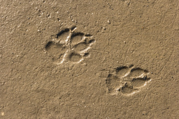 Am Strand von St. Peter-Ording