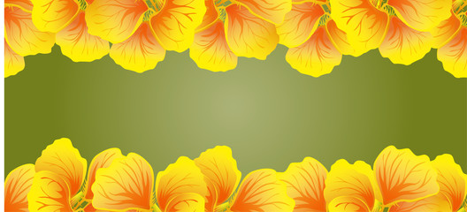 Bright Nasturtium Seamless border. Yellow flowers. Beautiful Horizontal banner. Green background. Card, invitation, poster, greeting design. Vector illustration.Exotic template.Decorative floral frame