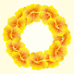 Bright Nasturtium wreath. Wild Yellow flowers. Beautiful Floral circle isolated on light background. Vector illustration. Card template for greeting, invitation and other design.Decorative round frame