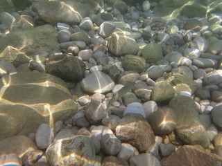 Poissons Croatie