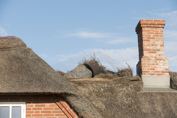 Sturmschaden an Reetdach 2