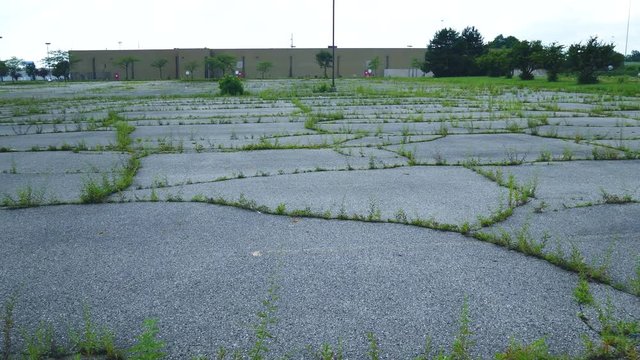 Abandoned parking lot for closed store