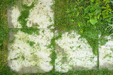 tile in the grass