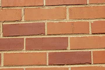 Obraz premium Collection of outdoor, everyday images.