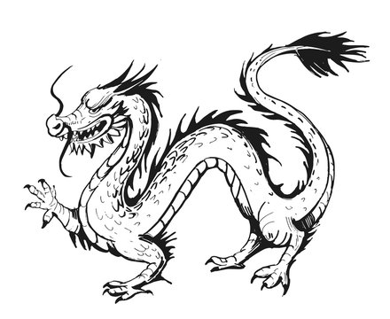 Sketch of the Chinese dragon