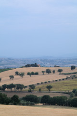 hill,field,agriculture,landscape,countryside,panorama,view,rural,italy,summer