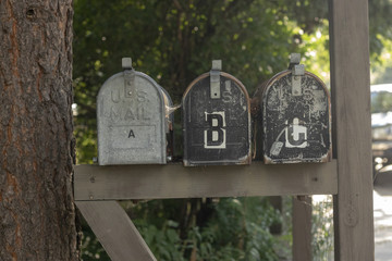 Collection of outdoor, everyday images.