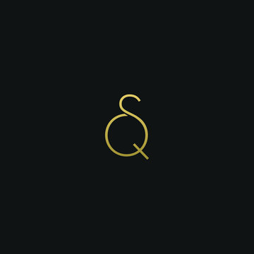 Unique modern elegant QS black and gold color initial based letter icon logo