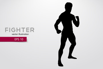Boxing silhouette. Boxing. Vector illustration