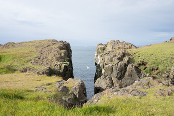 Fototapeta na wymiar Küsten-Landschaft im Gebiet um Bakkagerði / Ostfjorde - Island