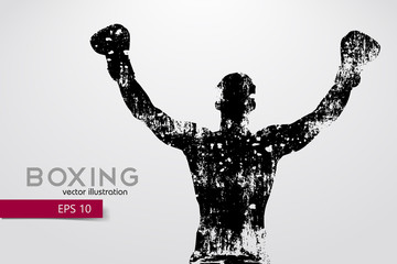 Boxing silhouette. Boxing. Vector illustration