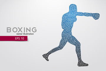 Boxing silhouette. Boxing. Vector illustration
