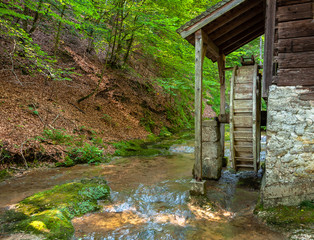 Mühle im Wald