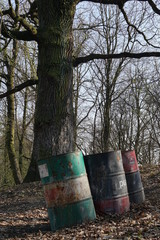 beczki z chemikaliami w wiosennym lesie, dzikie wysypiska śmieci w lesie, utylizacja szkodliwych chemikaliów