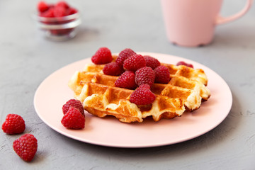Traditional belgian waffle with raspberries on pink plate over gray background, side view.