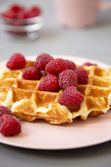 Traditional belgian waffle with raspberries on pink plate over gray background, side view. Close-up.