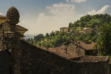 mediterranean landscape