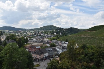 Fototapeta na wymiar Winnice w Saarburg