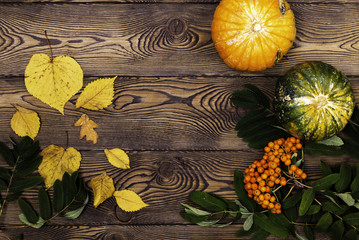 Top view of Autumn mini-pumpkins and ashberry and fallen leaves on a wooden background. Happy Thanksgiving and Harvest Day