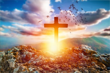 Cross.