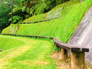 Nueva Zelanda. Naturaleza. Plantas. Parque natural - New Plymouth