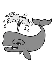 wasser spritzen fontäne grauwal blauwal pottwal buckelwal wal meeressäuger groß riesig fisch schwimmen meer see tauchen