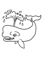 wasser spritzen fontäne grauwal blauwal pottwal buckelwal wal meeressäuger groß riesig fisch schwimmen meer see tauchen