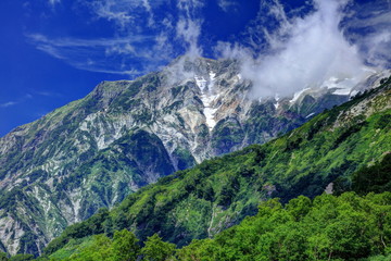 栂池自然園展望湿原からの白馬連峰
