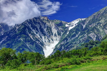 Fototapeta premium 栂池自然園展望湿原からの白馬連峰