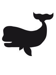 silhouette umriss schwarz schatten grauwal blauwal pottwal buckelwal wal meeressäuger groß riesig fisch schwimmen meer see tauchen