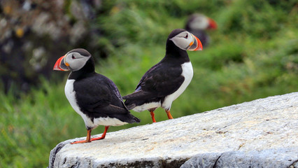 Stykkisholmur Iceland