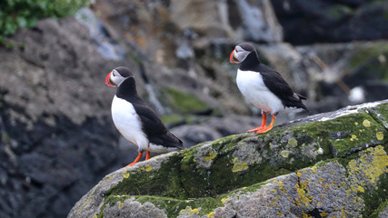 Stykkisholmur Iceland