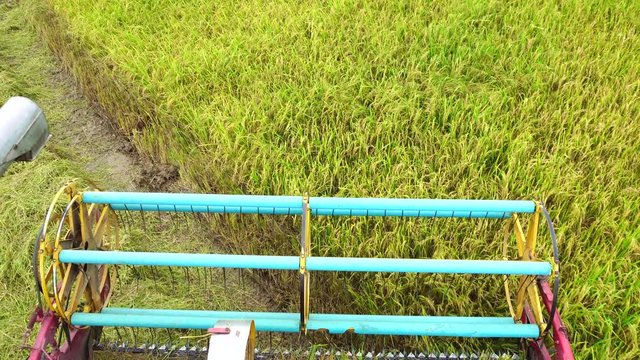 Harvester agriculture machine and harvesting in rice field