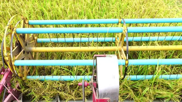 Harvester agriculture machine and harvesting in rice field