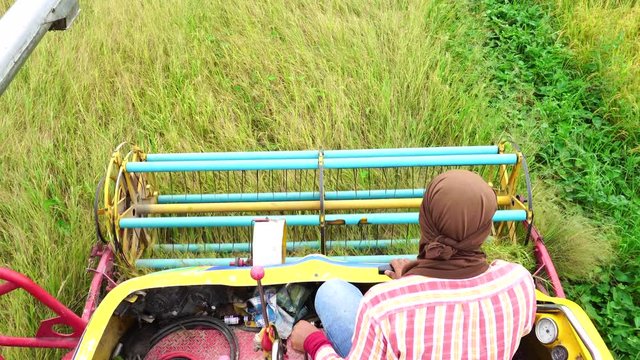 Harvester agriculture machine and harvesting in rice field