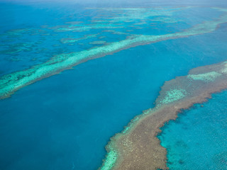 Fototapeta na wymiar Great Barrier Reef from the air.