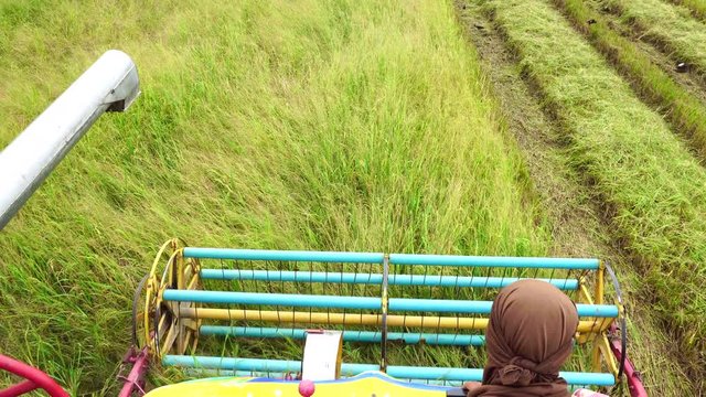 Harvester agriculture machine and harvesting in rice field