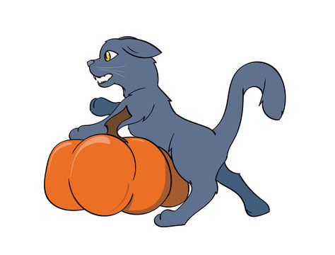 Black Cat Leaning on a pumpkin hissing