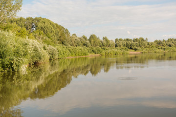 Lake in the forest. A beautiful lake in birches.