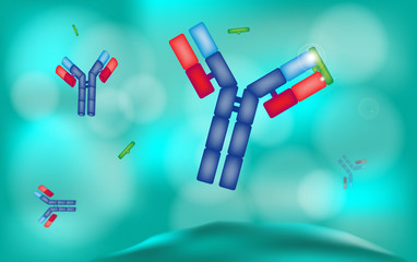 stylistic illustration of antibody, microbiology ,  drug in the body environment 