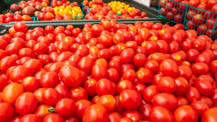 Tomatos Arranged for Sale in Farmer's Market