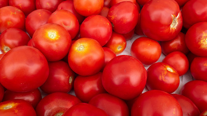 Close Up of Red Large Tomatos for Sale