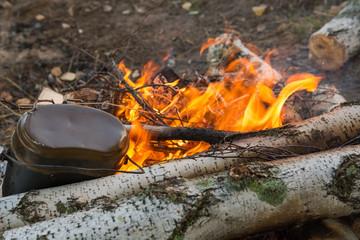 Bonfire in the forest. Fire in the forest.